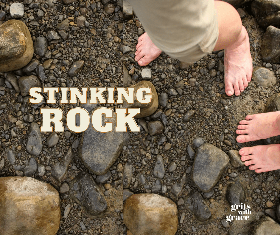 Stupid Rock