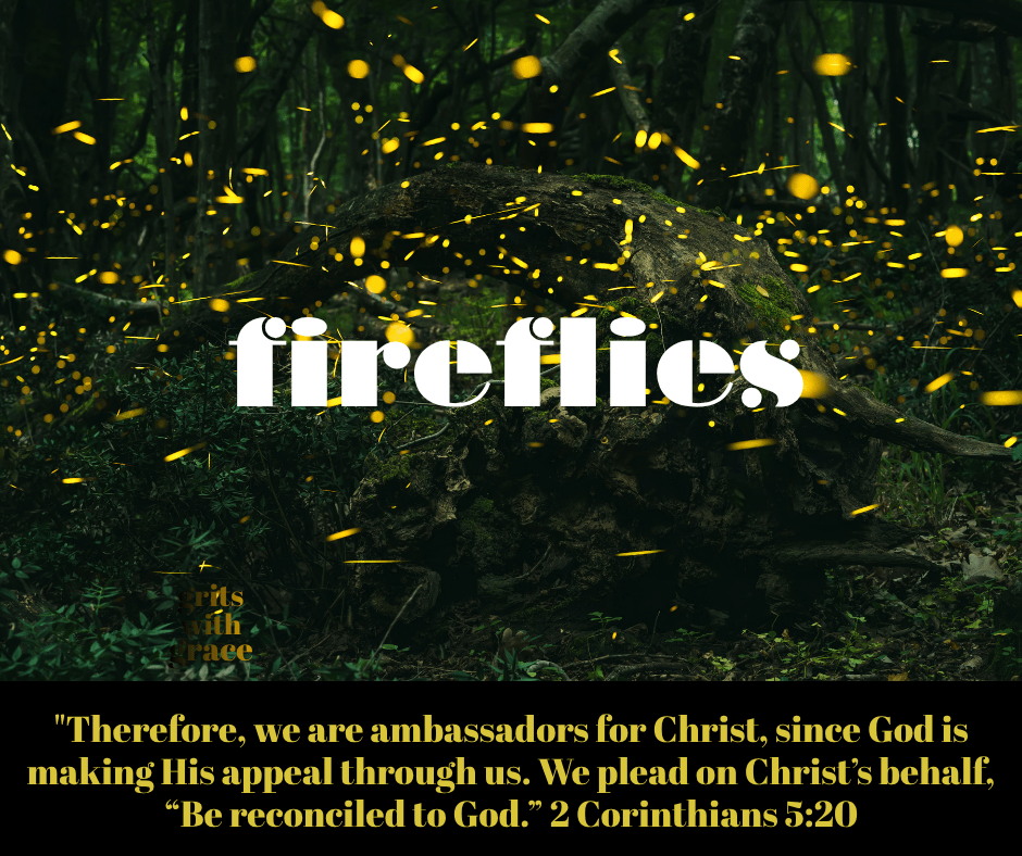 The Life of the&nbsp;Firefly