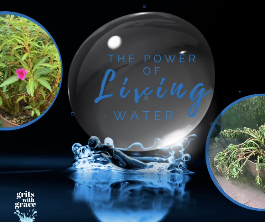 The Power of Living&nbsp;Water