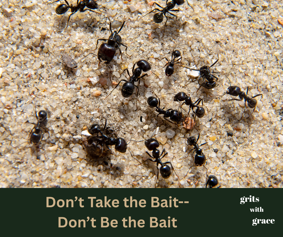 Don’t Take the Bait–Don’t Be the&nbsp;Bait